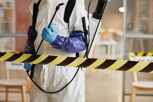 Professional Sewage Cleanup technician working in Mountain City, GA